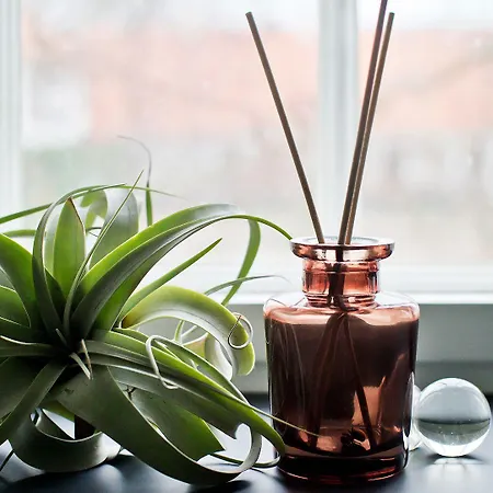 Rungstedgaard 3* Rungsted