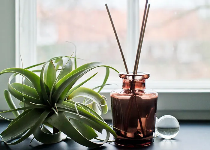 Rungstedgaard 3* Rungsted